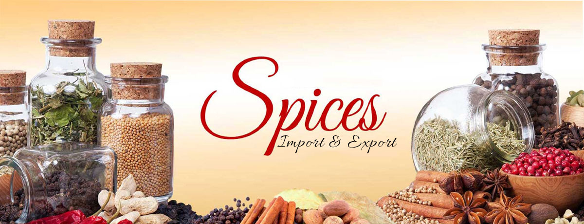 Indu International Import Export Enterprises